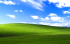 Windows Xp Bliss Wide Image