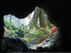 Aquarium Grotto Garden Image