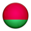 Flag Of Belarus 256 Image