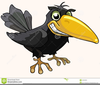 Raven Bird Clipart Image