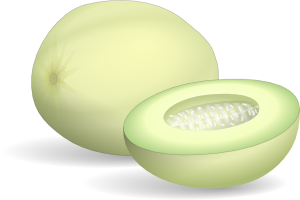 Honeydew Melon Clip Art