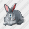 Icon Rabbit Image