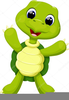 Turtle Clipart Cute Image