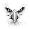 Eagleulo Image