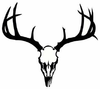 Deer Skull Image