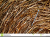 Needle Haystack Clipart Image