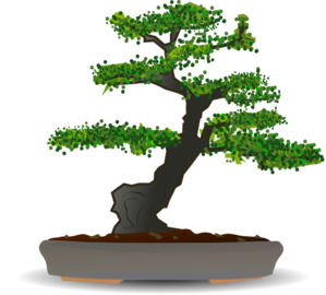 Bonsai Clip Art at Clker.com - vector clip art online, royalty free