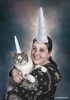 Cat Family Photo Unicorn Image