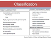 Glomerulonephritis Pathophysiology Image