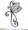 Beautiful Dragonfly Clipart Image