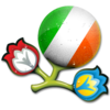 Euro 2012 Republic Of Ireland 256 Image