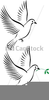 Dove In Flight Clipart Image