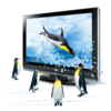 3d Penguins Icon Image