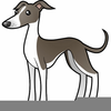 Greyhound Clipart Image