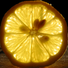 Backlit Lemon Slice With Seeds Image