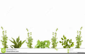 Free Vegetable Clipart Borders Image