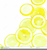 Lemon Slices Clipart Image