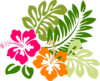 Hibiscus Kelly Clip Art