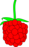 Simple Raspberry Clip Art