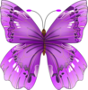 Butterfly Clip Art