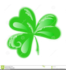 Three Leaf Clover Clipart Image