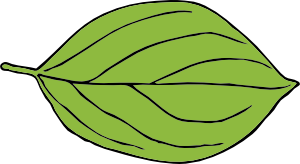 Oval Leaf Clip Art