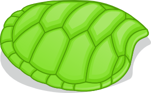 Turtle Shell Clip Art