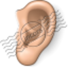 Ear 11 Image