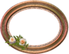 Oval Frame Image