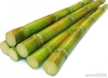 Stack Of Sugar Cane Image