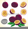 Clipart Bowl Of Fruit Image