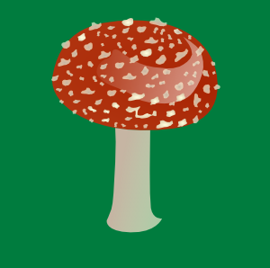 Amanita Toxic Mushroom Clip Art