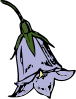 Harebell Clip Art