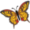 Butterfly Icon Image