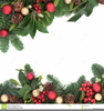Holly And Ivy Clipart Image