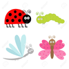 Cartoon Ladybug Clipart Image