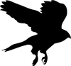 Soaring Hawks Clipart Image