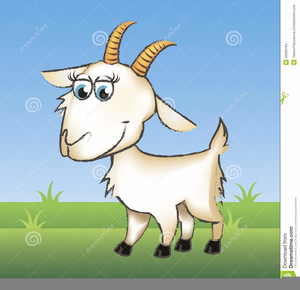 Funny Goat Drawings Image