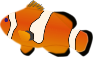 Aquarium Fish Amphiprion Percula Clip Art