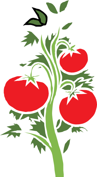 Tomato Plant Clip Art at Clker.com - vector clip art online, royalty