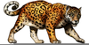 Free Jaguar Clipart Image