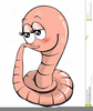 Clipart Worm Image