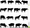 Clipart Image Bovine Image