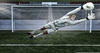 Hope Solo Diving Image