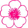 Pink Buttercup Clip Art