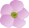 Flower Clip Art