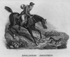 English Hunting Horse Image
