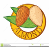Almond Clipart Free Image