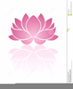 Lotus Flower Images Clipart Image