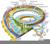 Geologic Timeline Clipart Image